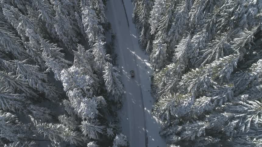 A car travels on a road in a snowy forest