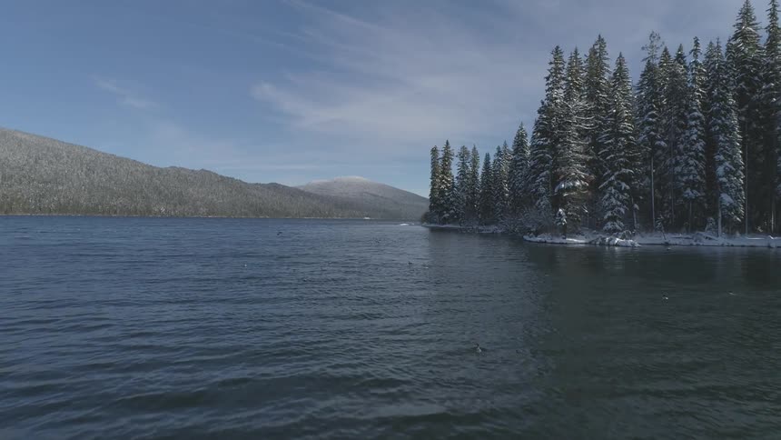 Birds flying over a lake surrounded by trees and mountains and snow