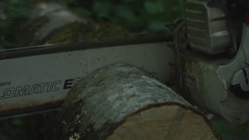 A chainsaw cutting through a moss covered log