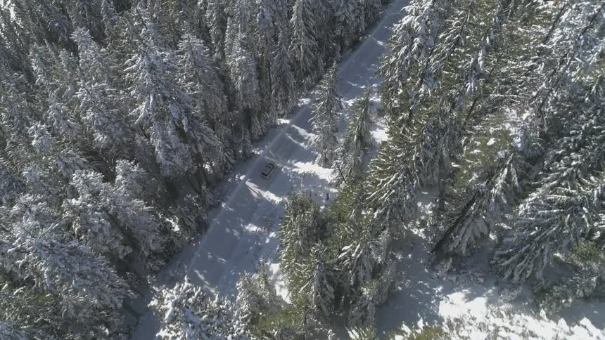 A vehicle traveling down a snowy road through a pine forest on a mountain