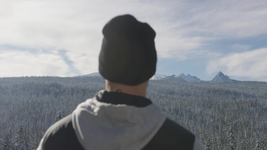 A man standing on land staring at mountains and forest