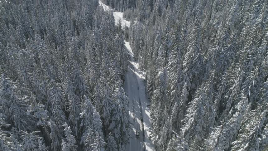 A car drives down a snowy road in the forest