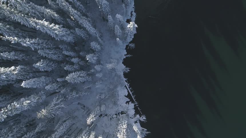 An aerial view of a forest in winter