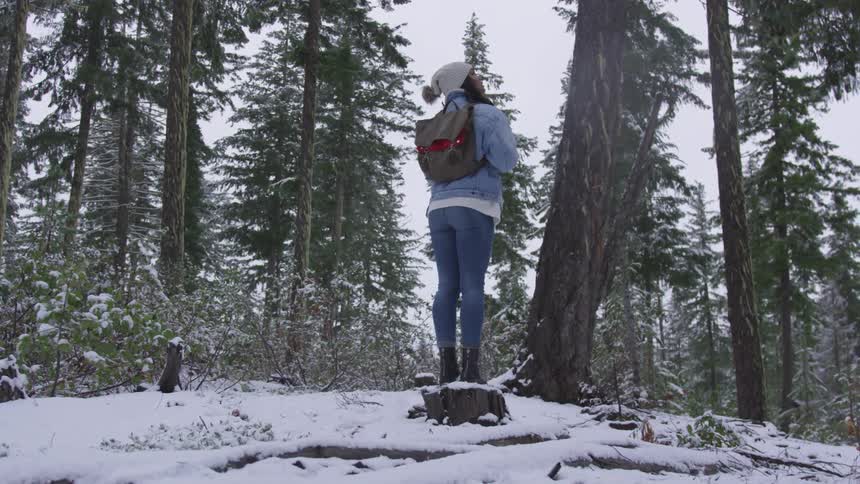A woman is standing on a tree looking at the forest