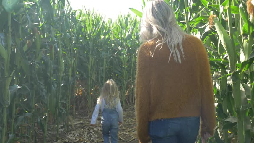 A woman and child walk through a corn field