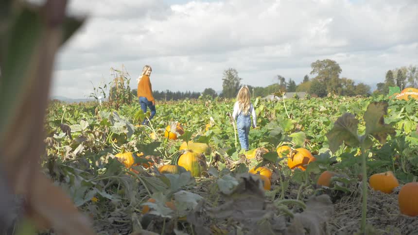A mother and daughter walking through a pumpkin patch