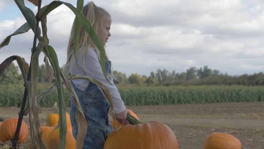 A child is holding a pumpkin outdoors