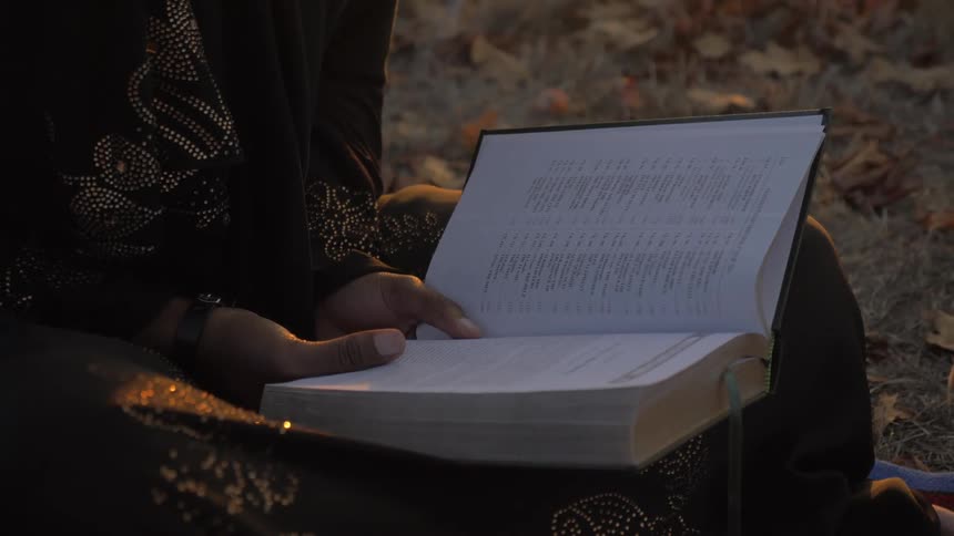 A person is reading a book outdoors