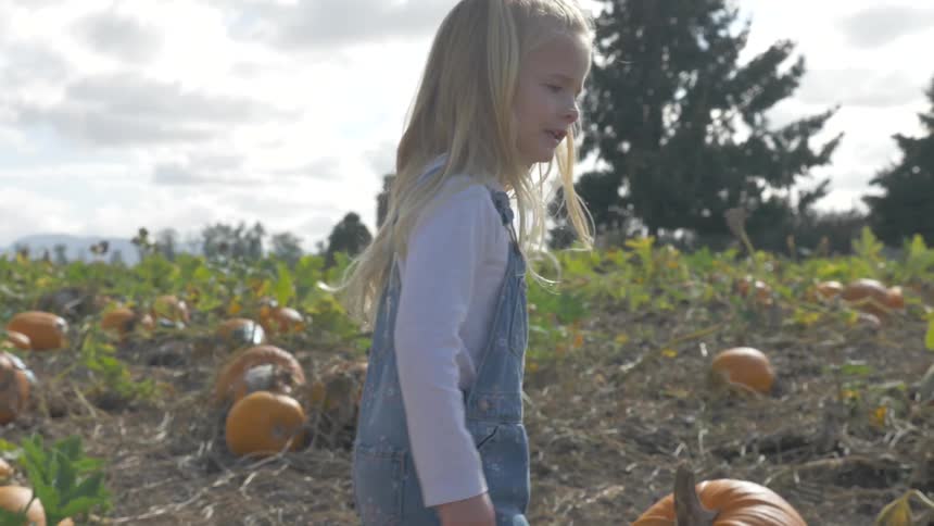 A young blonde child picking out a pumpkin in a pumpkin patch