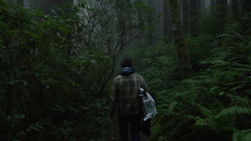 A man walking through a forest with a surfboard on a foggy day near the coast with lush ferns abound
