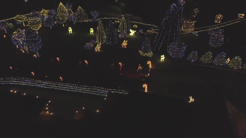 Vehicle travels past the decorated trees at night