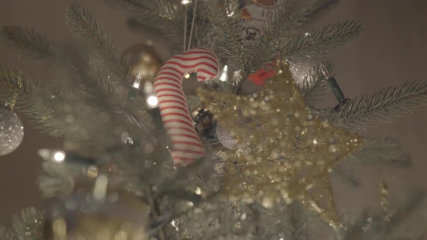 A candy cane ornament hangs on a christmas tree along with other ornaments and flashing christmas lights