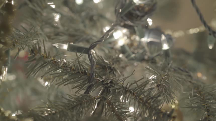 Christmas lights twinkle on the tree