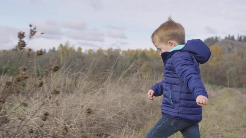 A young boy in jeans and a blue coat walks through a field