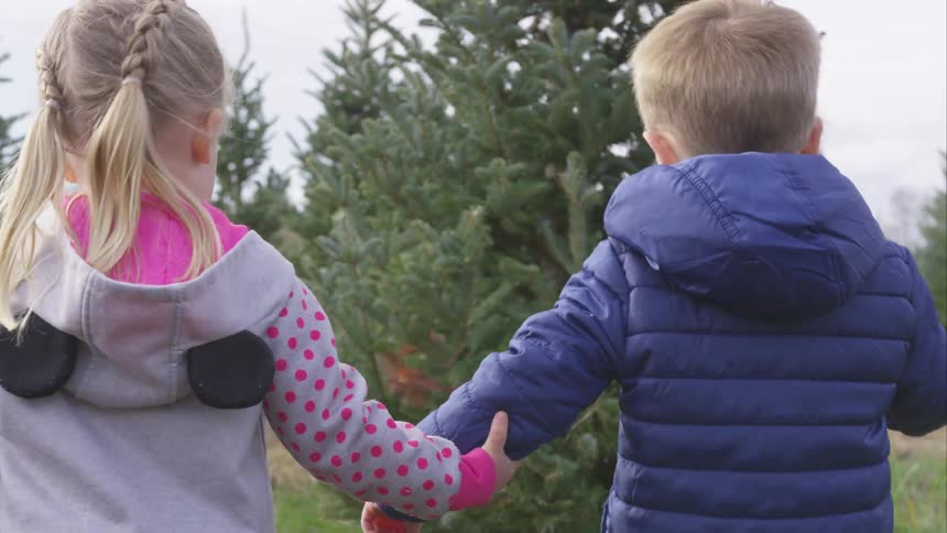 Two children walk towards the tree farm