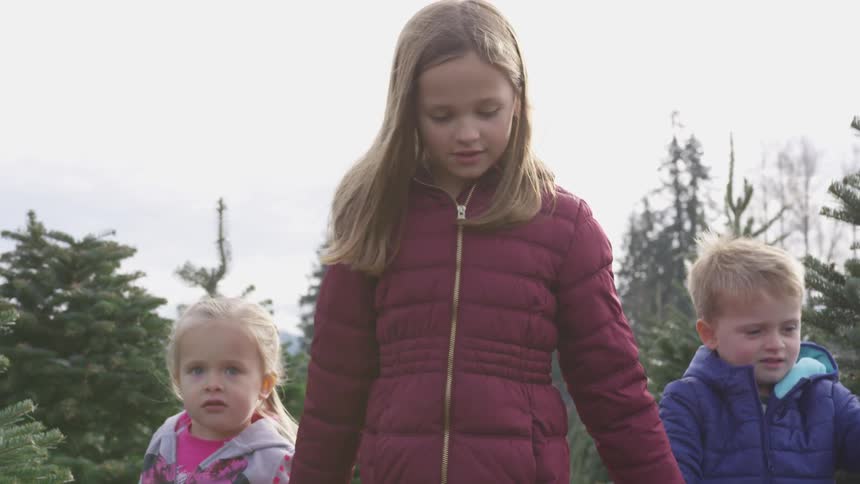 Three children holding hands walk passed a group of evergreen trees