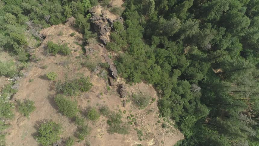A birds eye view of a forest
