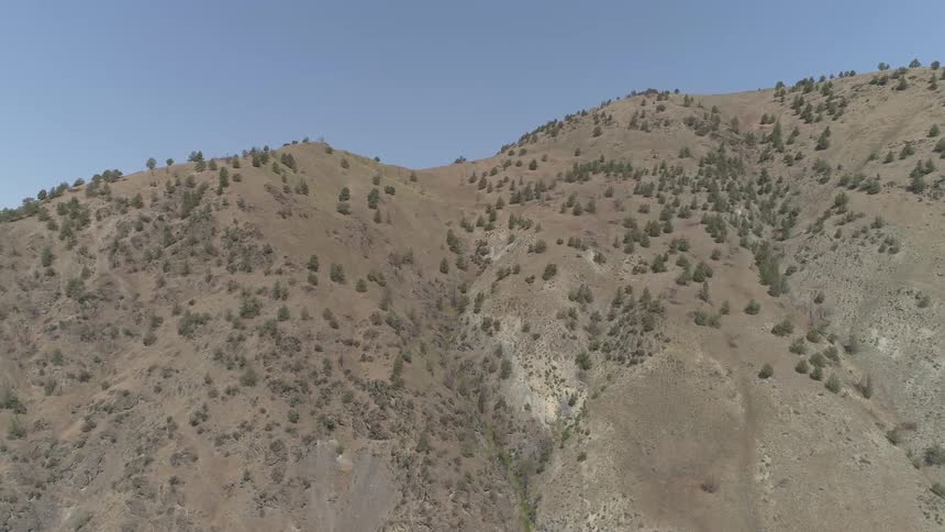 A view of mountains and trees