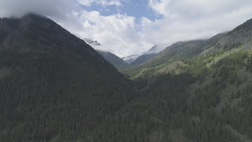A shot of a hilly forest
