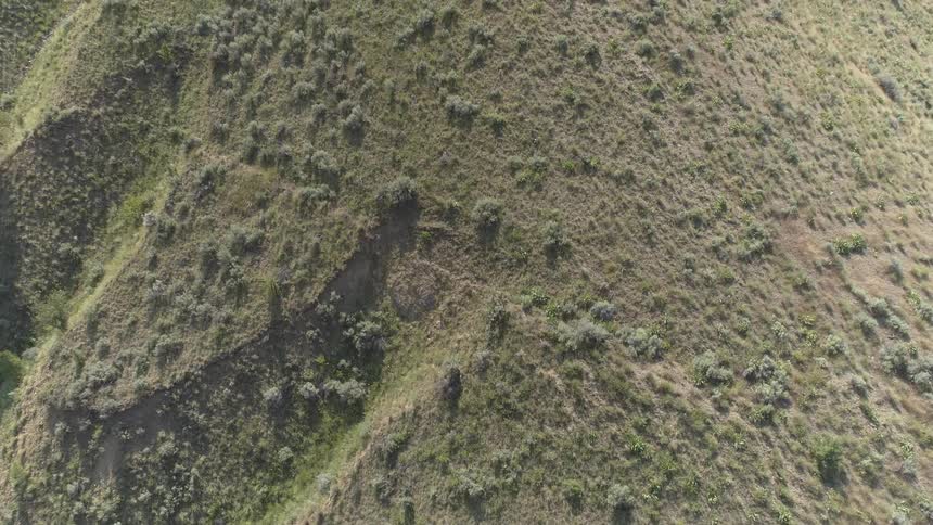 A birds eye view of a field
