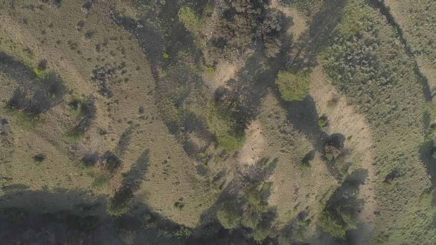 Birds eye view of rocky terrain with brush and few trees