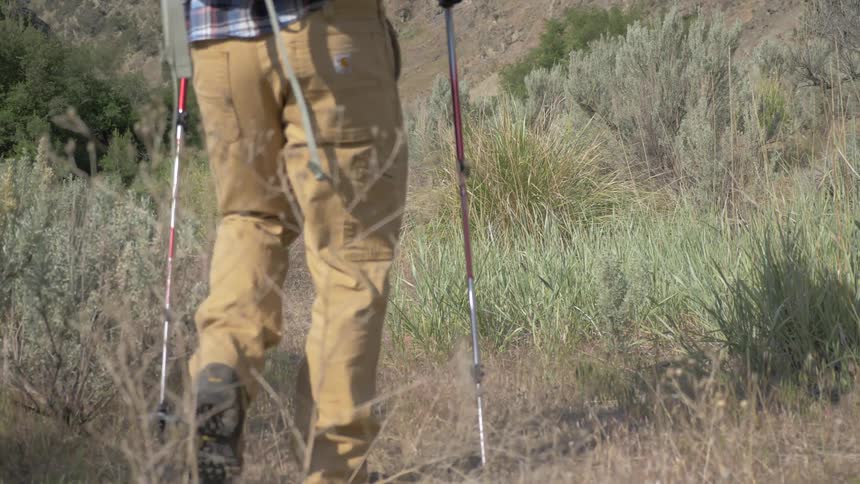 A man hikes through a field with walking sticks