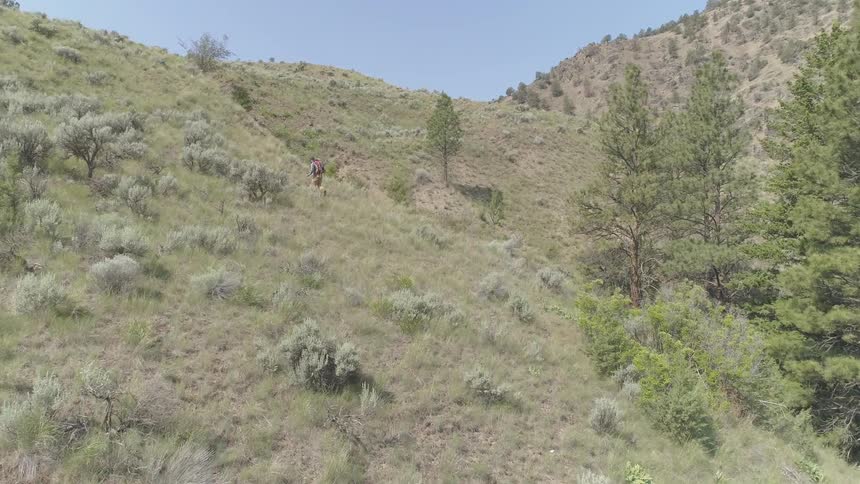 Man walks up hill during daylight