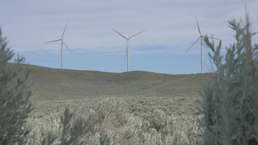 Three wind turbines spin in an open field