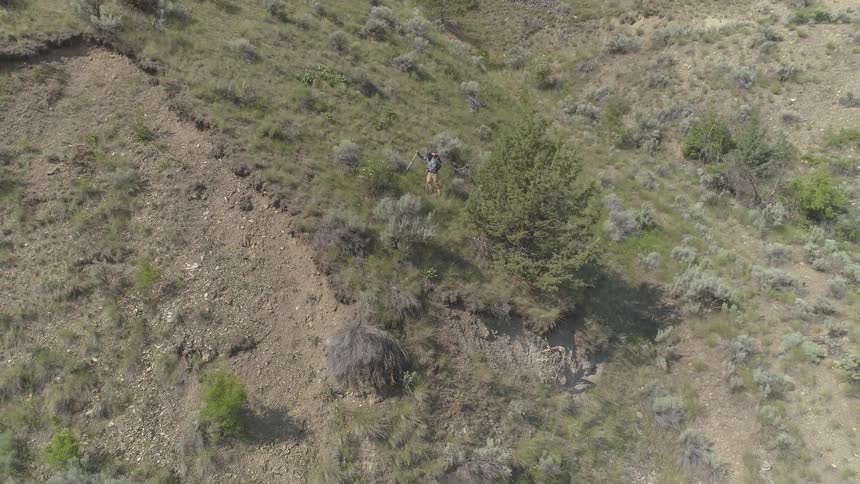 A hiker goes up a slope in the wilderness