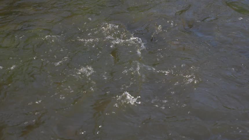 The camera watches standing waves in a river
