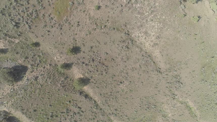 A person walks across desert terrain