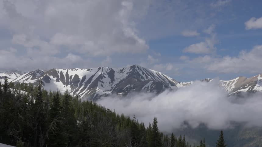 Fog surrounding the snow capped mountain and forest