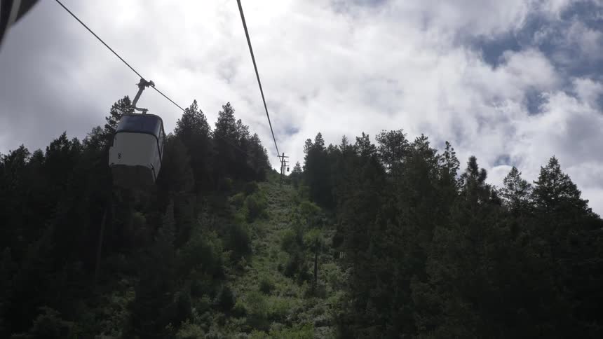 A gondola moves across a forest
