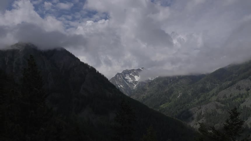 Clouds cover tall mountain peaks dotted with pine trees