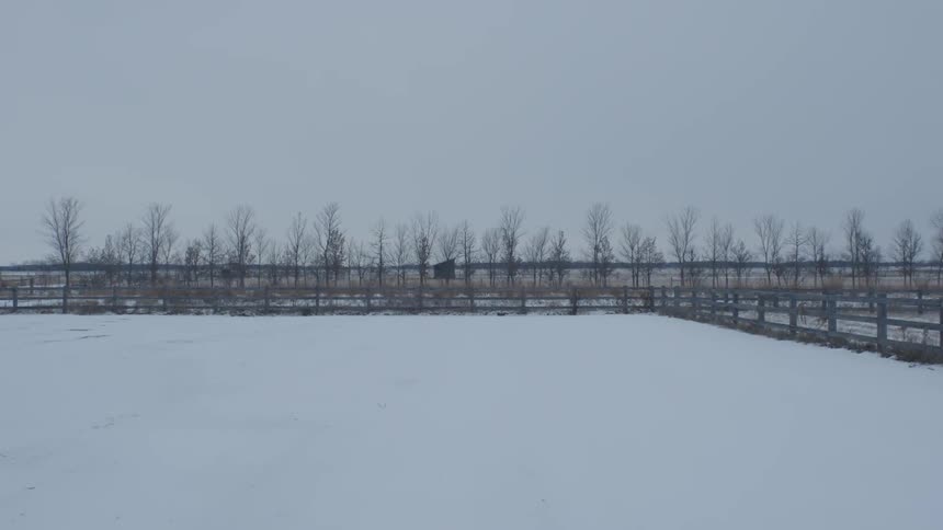 A tree lined field covered in snow