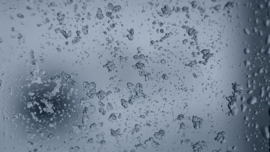 Drops of rain catch on window