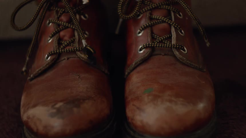 A pair of worn leather shoes