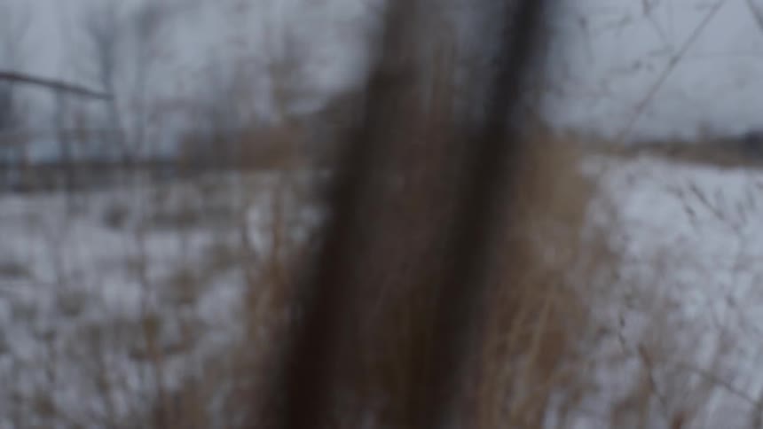 The camera moves through grass in a snowy field