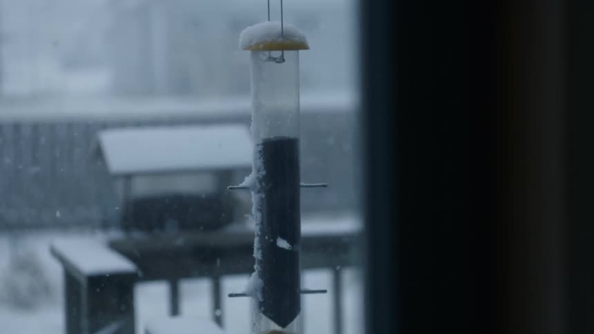 A bird feeder is covered in snow