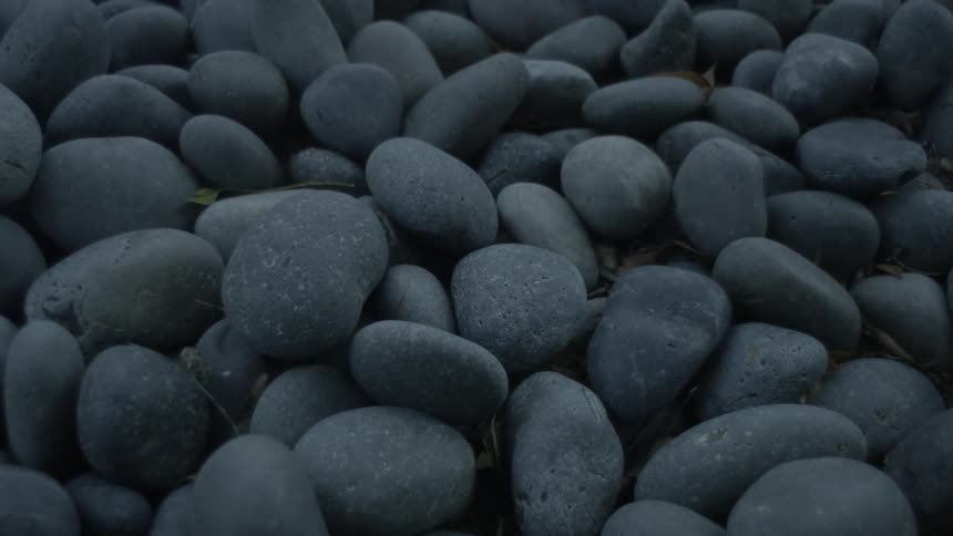 Gray stones cover the ground