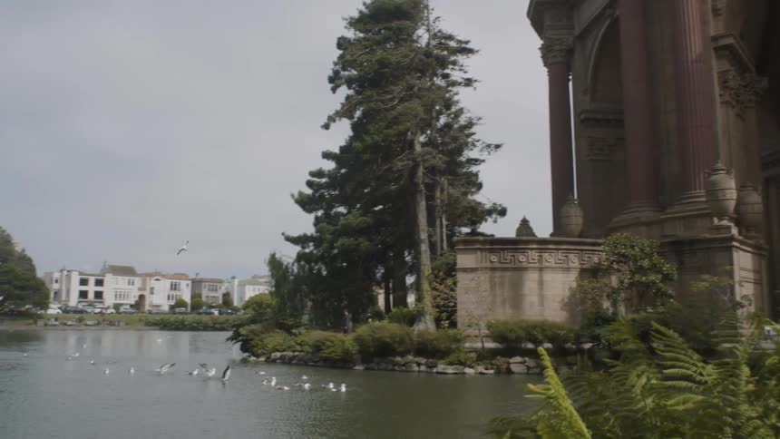 Birds flapping on the water