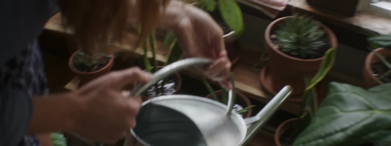 A woman waters her various plants that sit on a window sill