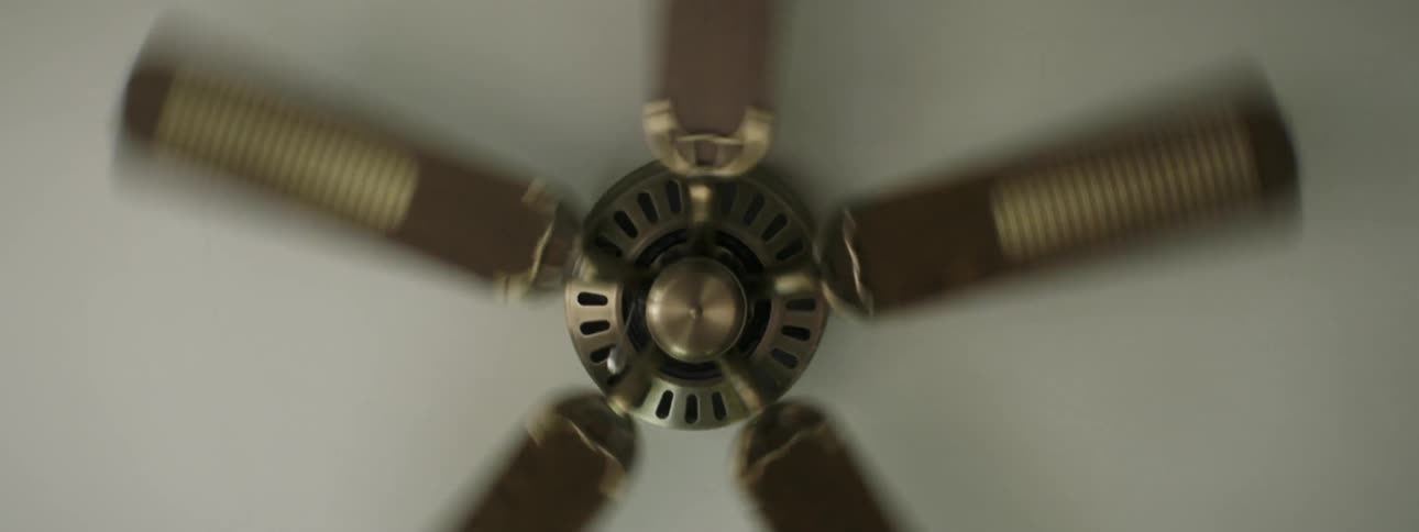Blades of a ceiling fan