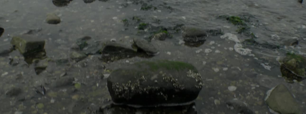 Waves on a rocky beach
