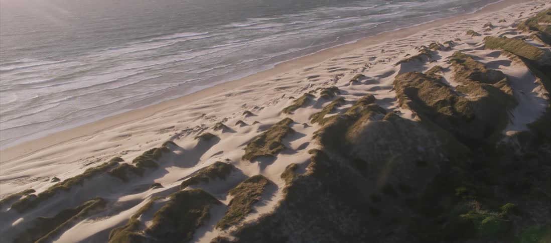 Sand dunes form on the beach next to the ocean