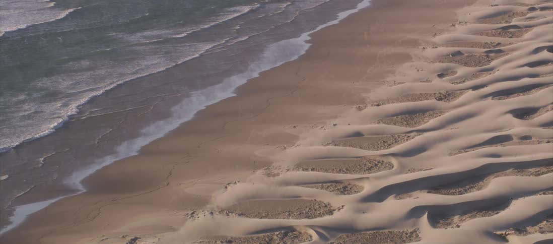 Sand dunes on a beach