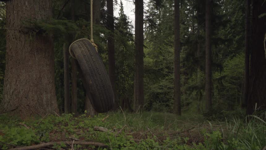 Tire swing in the woods