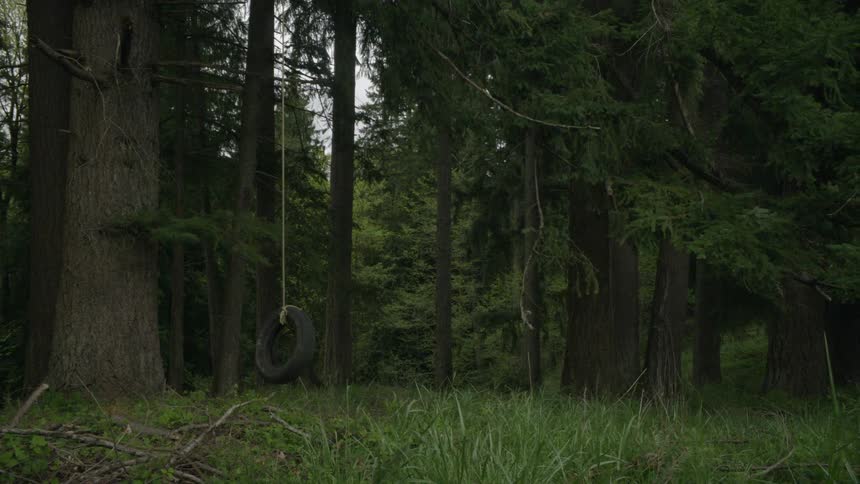 Tire swing swaying in the breeze