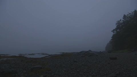 A quiet shoreline at dusk