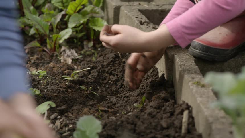 Kids pull worms from soil in a garden